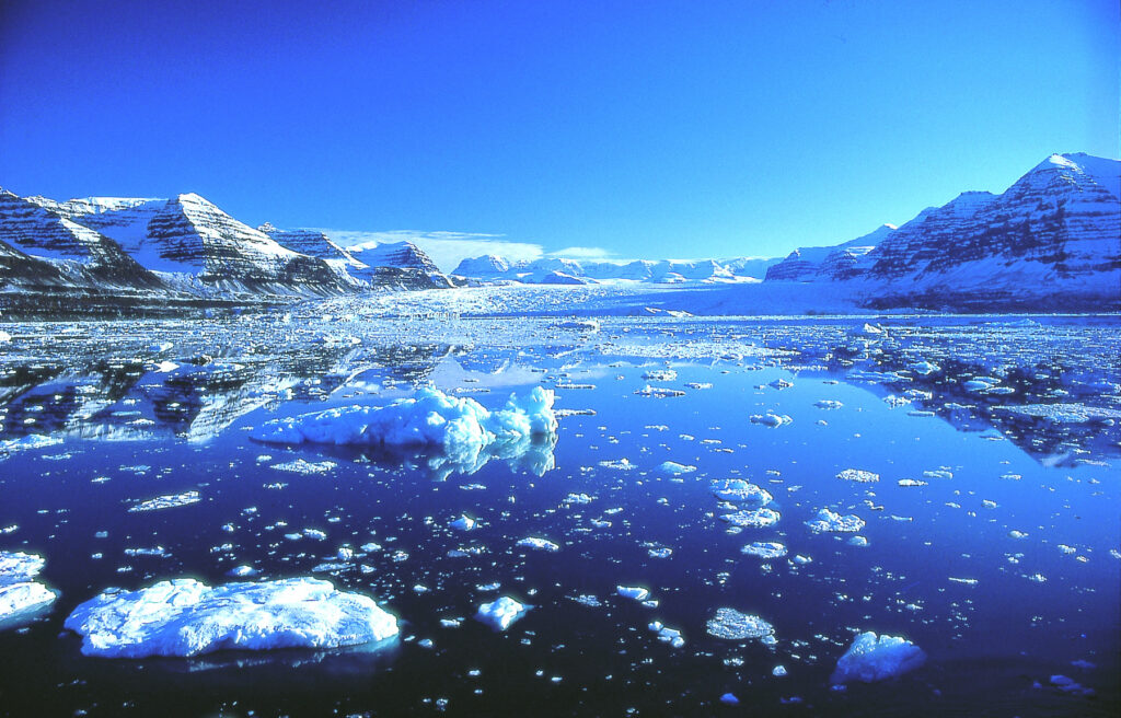 Arctic