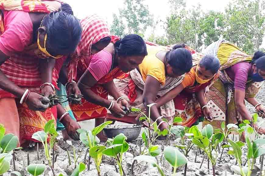 Conservation efforts 