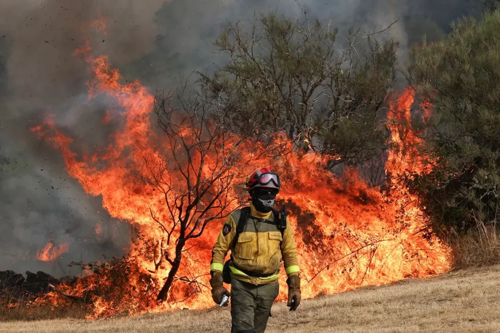 Wildfires