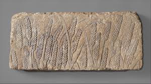 Ancient Grains.