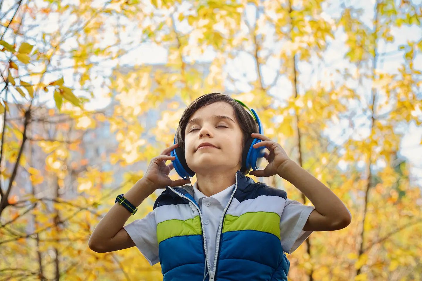 People-in-nature-yellow-leaf-autumn-tree-audio-equipment-1558211-pxhere.com