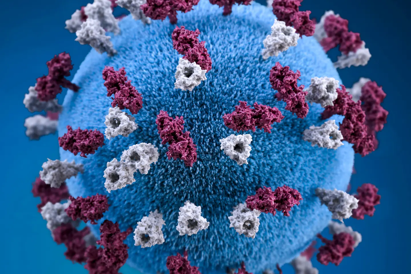 covid-19-coronavirus-covid-cell-pandemic-corona-virus-1608799-pxhere.com