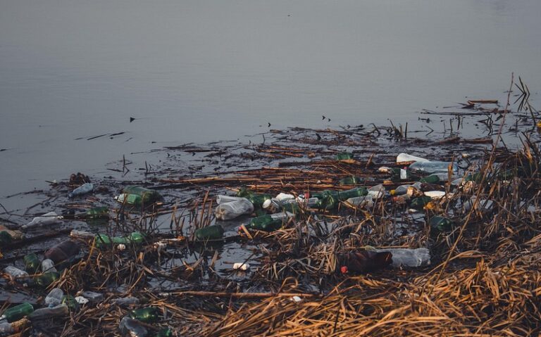 Plastic by the shore.