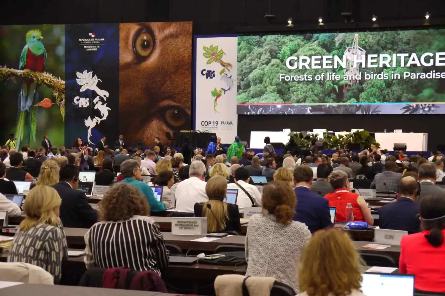 CoP20 promotes the new age climate activism
