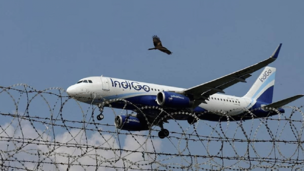 IndiGo has become the undisputed leader in India's Aviation industry.
