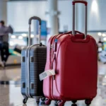 c8ab80189b87666caed5aa77dc0aa477