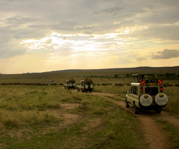 Kenya safari 2026 travel guide - Maasai warrior on savannah Maasai Mara sunrise