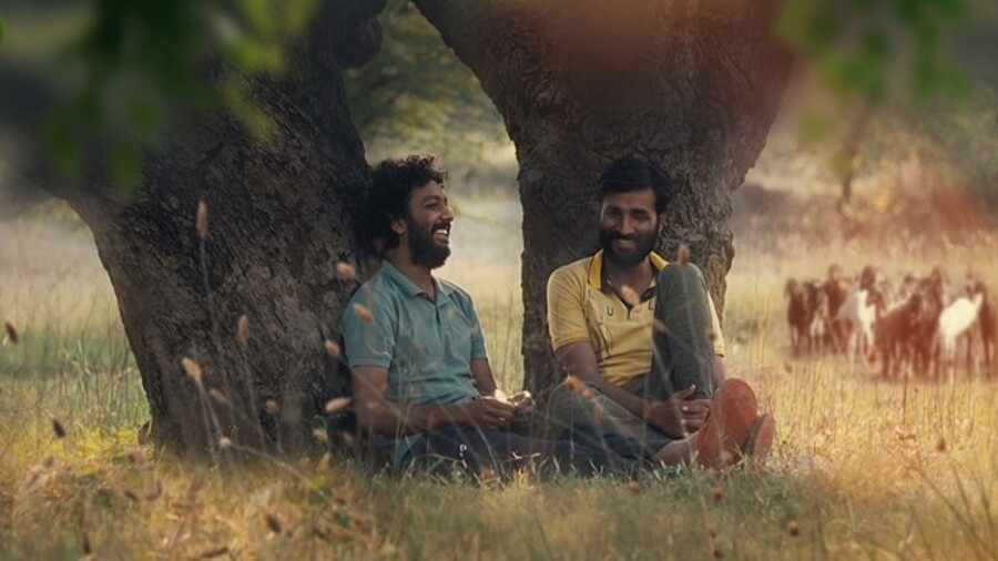 Indian Queer Movie Cactus Pears (2025)