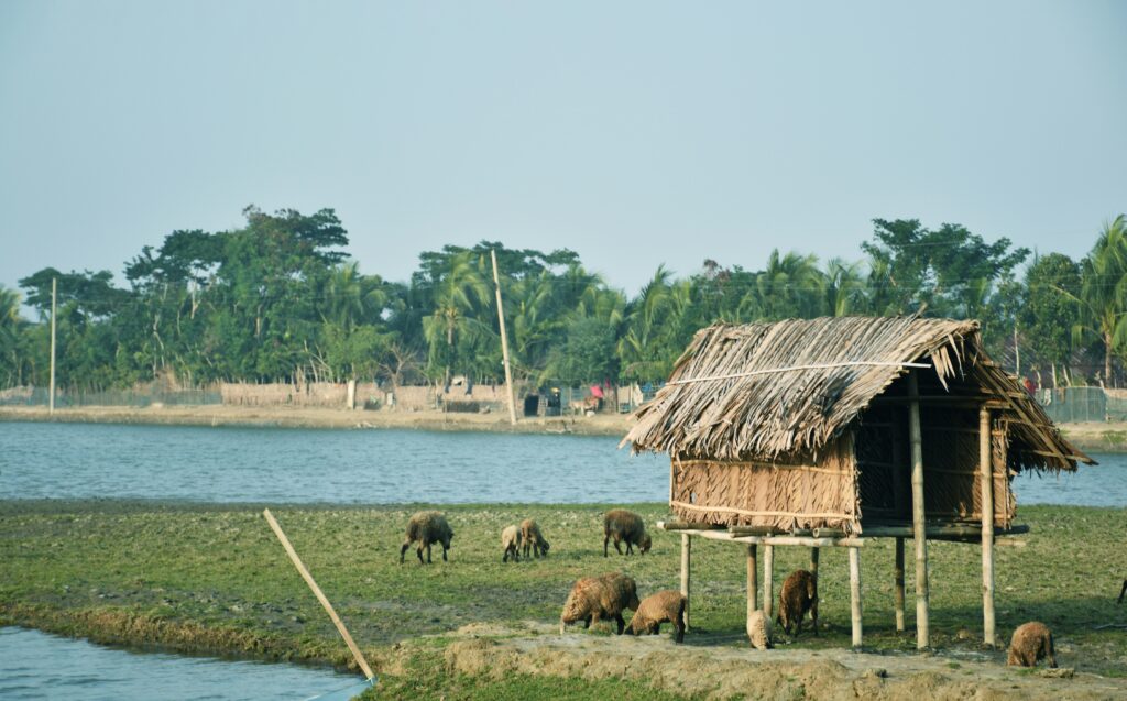 Sundarban Union, Sonakhali Village, Mongla Port, Khulna. Near Mangrove Forest Sundarbans. Forest in Asia