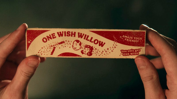 The One Wish Willow, the catalyst for Nikki’s Obsession.