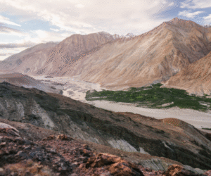 Ladakh-monsoon-travel-guide-2026-—-Bactrian-camels-Nubra-Valley-sand-dunes-Himalayas