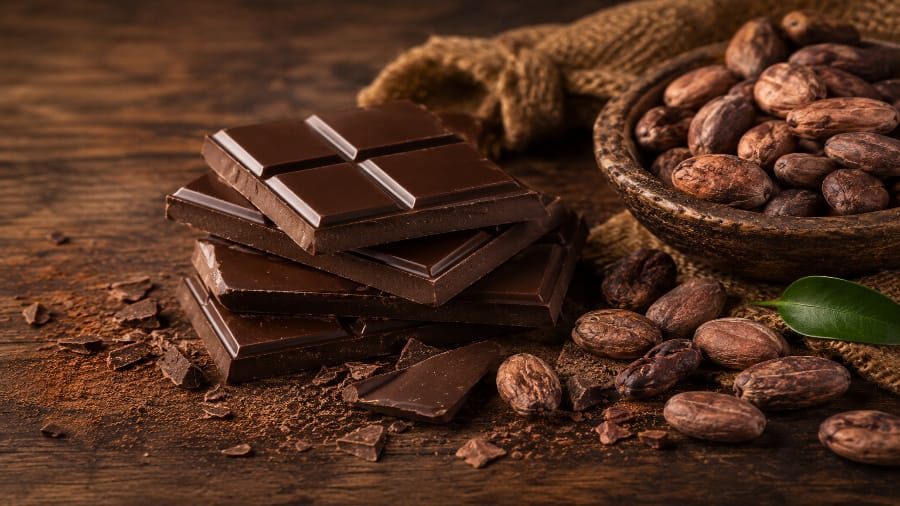 Raw Cacao Beans and Chocolate Bars Depicting the Origin of Chocolate.