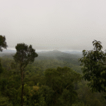 monsoon travel India 2026 — green tea gardens in hill station with misty clouds