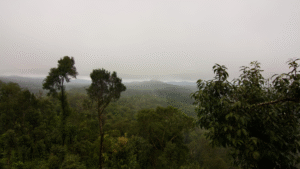 monsoon travel India 2026 — green tea gardens in hill station with misty clouds