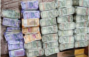 Cash linked to illegal areca nut imports investigated by DRI.